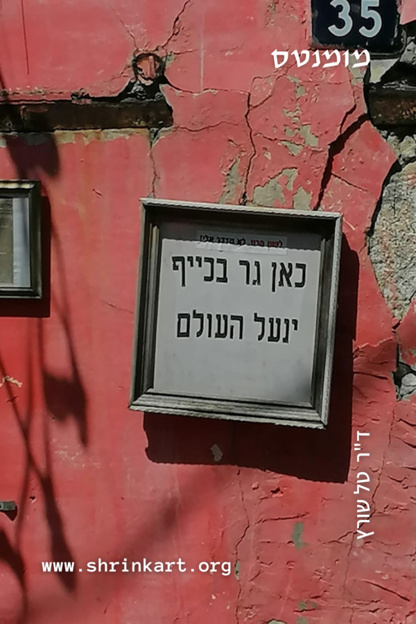 תמונות 'מומנטס' - רגעים שבחיים